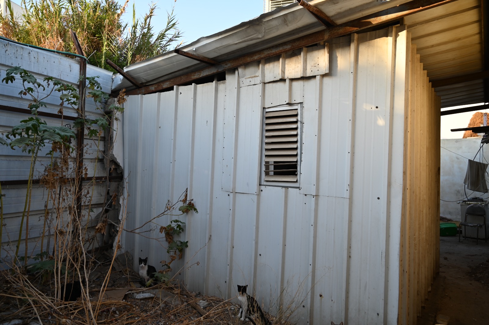 WhatsApp Image 2021-10-07 at 9.13.17 PM (2).jpeg